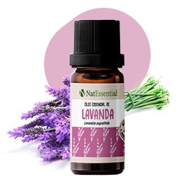 LAVANDA - 20ml